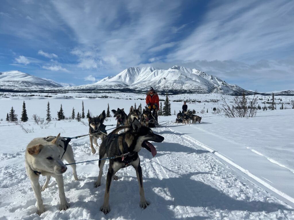 Mountain Musher - All You Need to Know BEFORE You Go (with Photos)