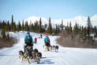 Squid Acres Kennel is a racing and tour kennel on the Denali Highway.