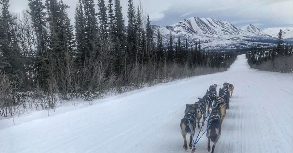 two-hour-dog sled ride